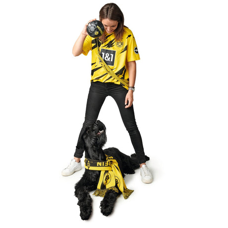 Verstellbare Führleine Hilo BVB