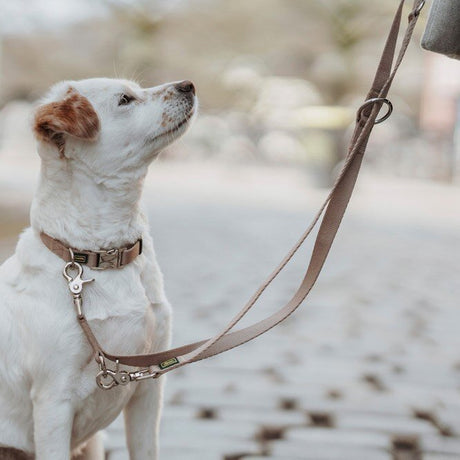 Verstellbare Führleine Inari für Hunde