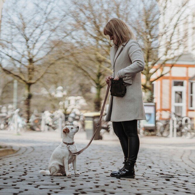 Verstellbare Führleine Inari für Hunde