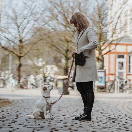 Verstellbare Führleine Inari für Hunde