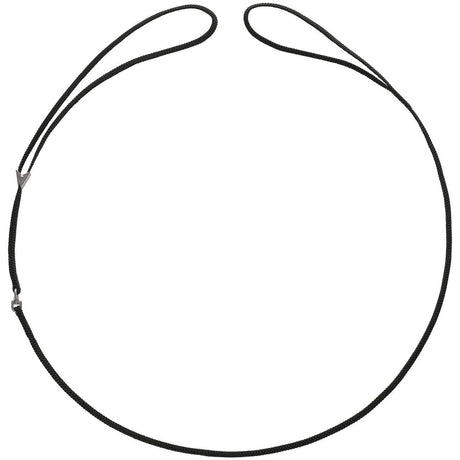 Vorführleine mit integrierter Halsung