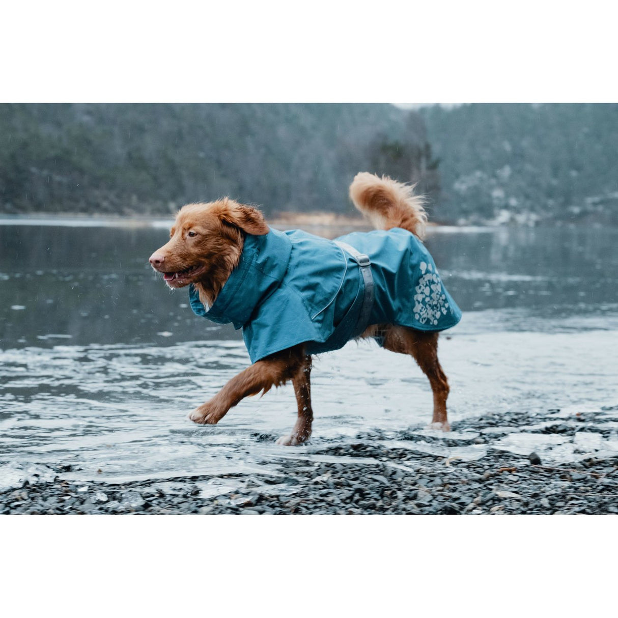 Monsoon Regenmantel
