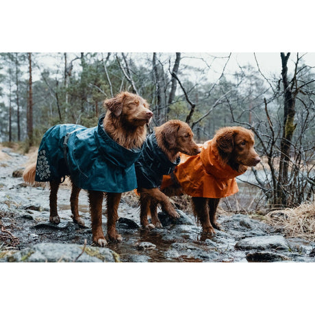 Monsoon Regenmantel