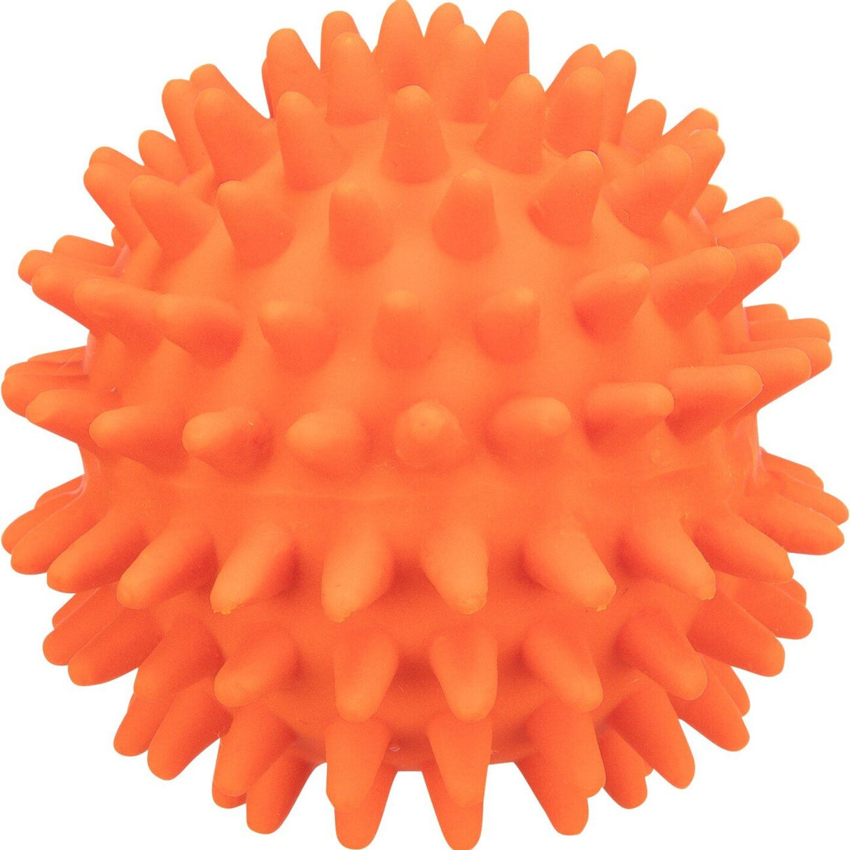 Igelball aus Latex für Hunde