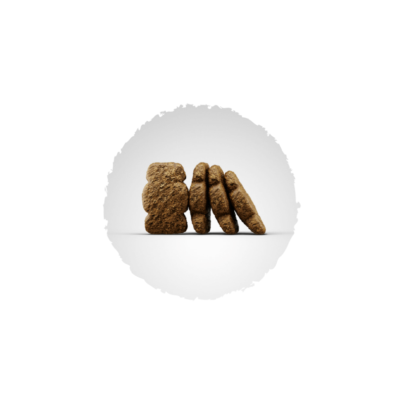 Josera Kids Welpenfutter
