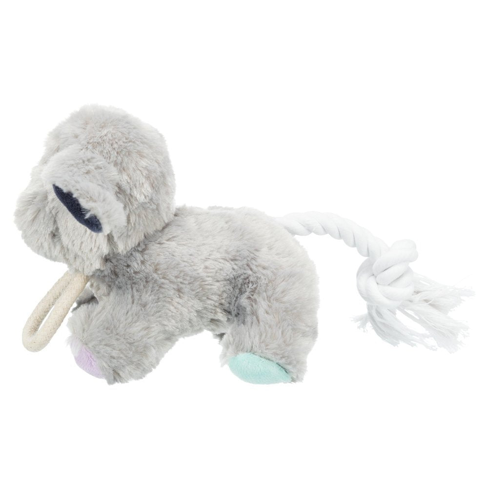 Junior Hund mit Tau für Welpen