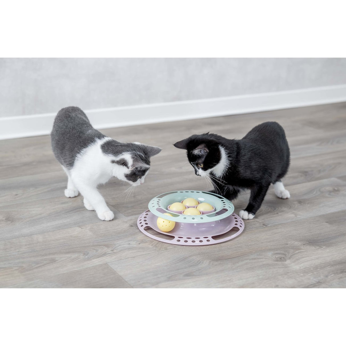 Junior Kitten Circle Katzenspielzeug
