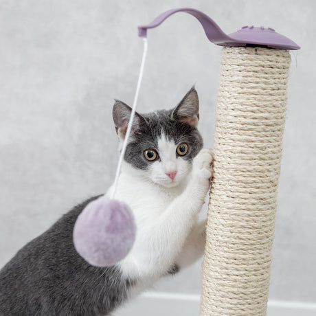 Junior Kratzstamm mit Spielzeug für Kitten