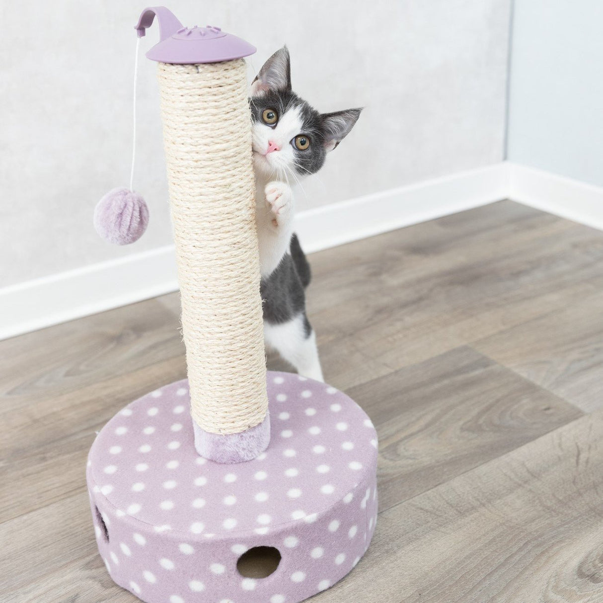 Junior Kratzstamm mit Spielzeug für Kitten