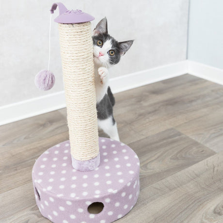 Junior Kratzstamm mit Spielzeug für Kitten