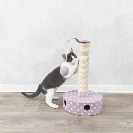 Junior Kratzstamm mit Spielzeug für Kitten