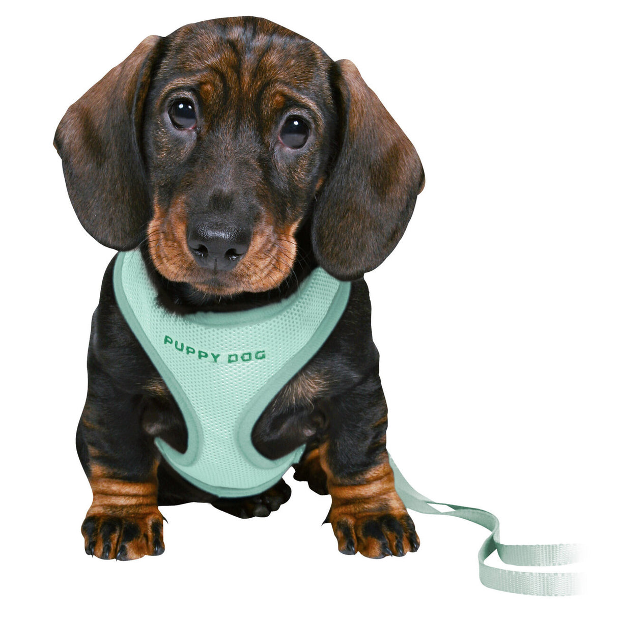 Junior Welpen Softgeschirr Set mit Leine