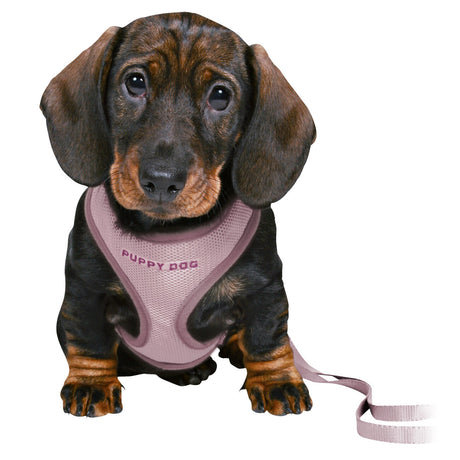 Junior Welpen Softgeschirr Set mit Leine