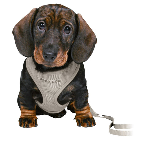 Junior Welpen Softgeschirr Set mit Leine