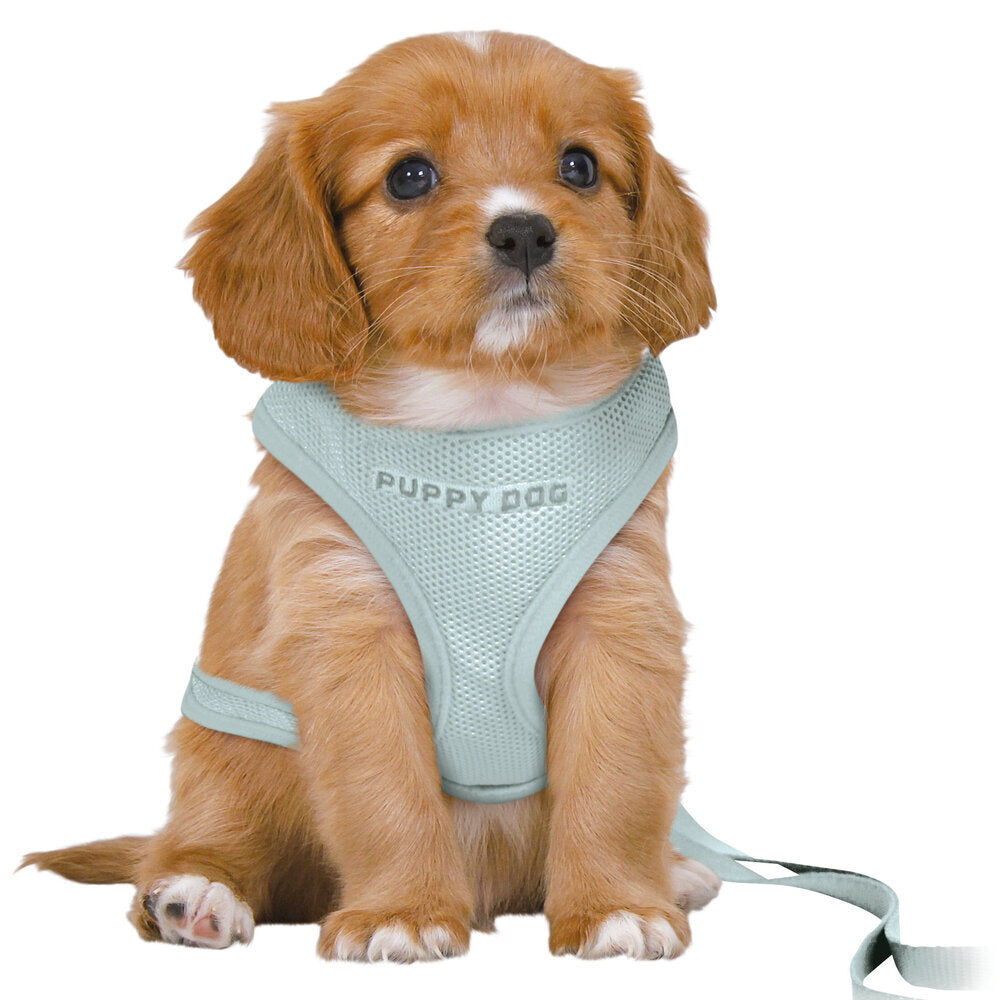 Junior Welpen Softgeschirr Set mit Leine