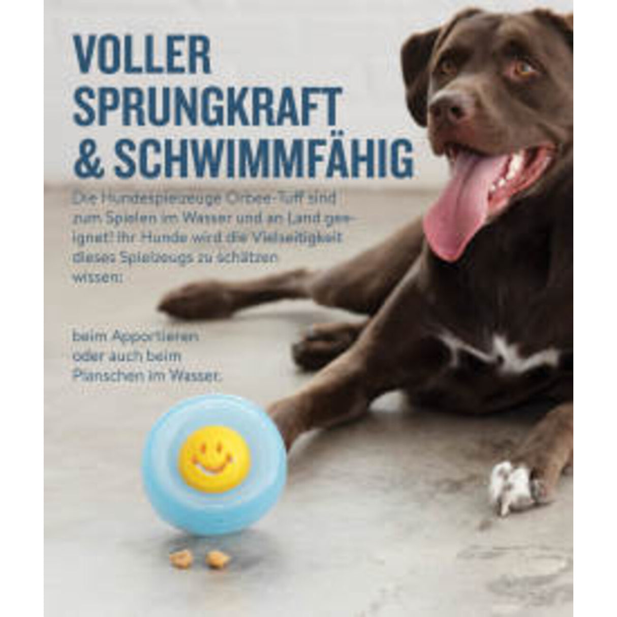 Orbee-Tuff Snoop Ø ca. 12,5 cm Interaktives Snackspielzeug – NOOKS Happiness