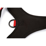 Art Sportiv Premium Y-Geschirr