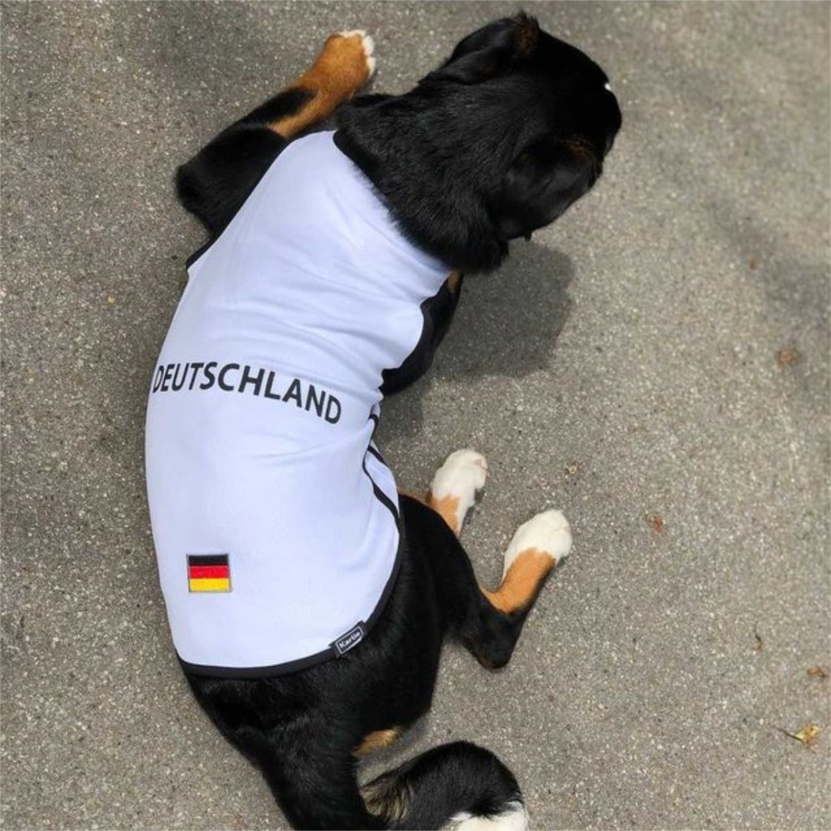 Fußball EM Hundetrikot