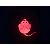 Katzen LED Pointer Catch the Light