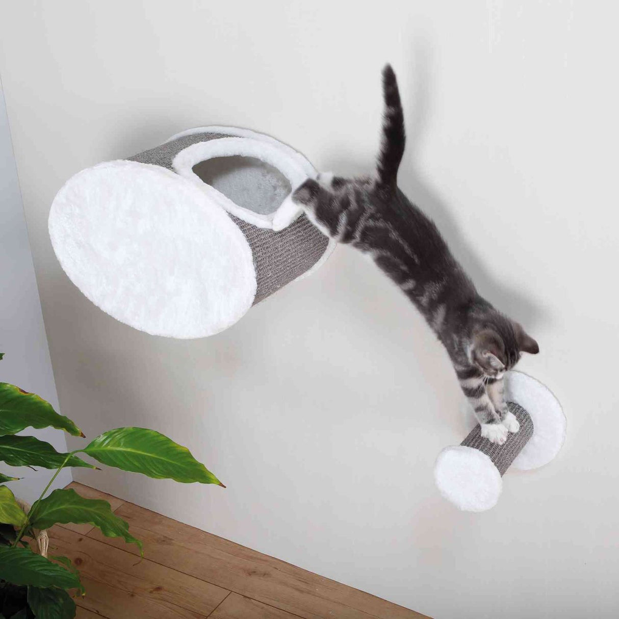 Katzen Kletterstufe zur Wandmontage