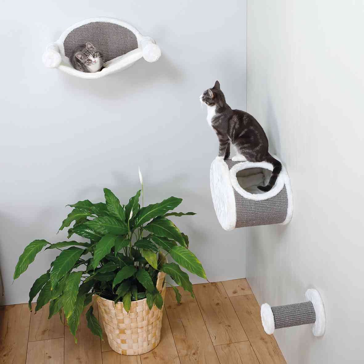 Katzen Kletterstufe zur Wandmontage