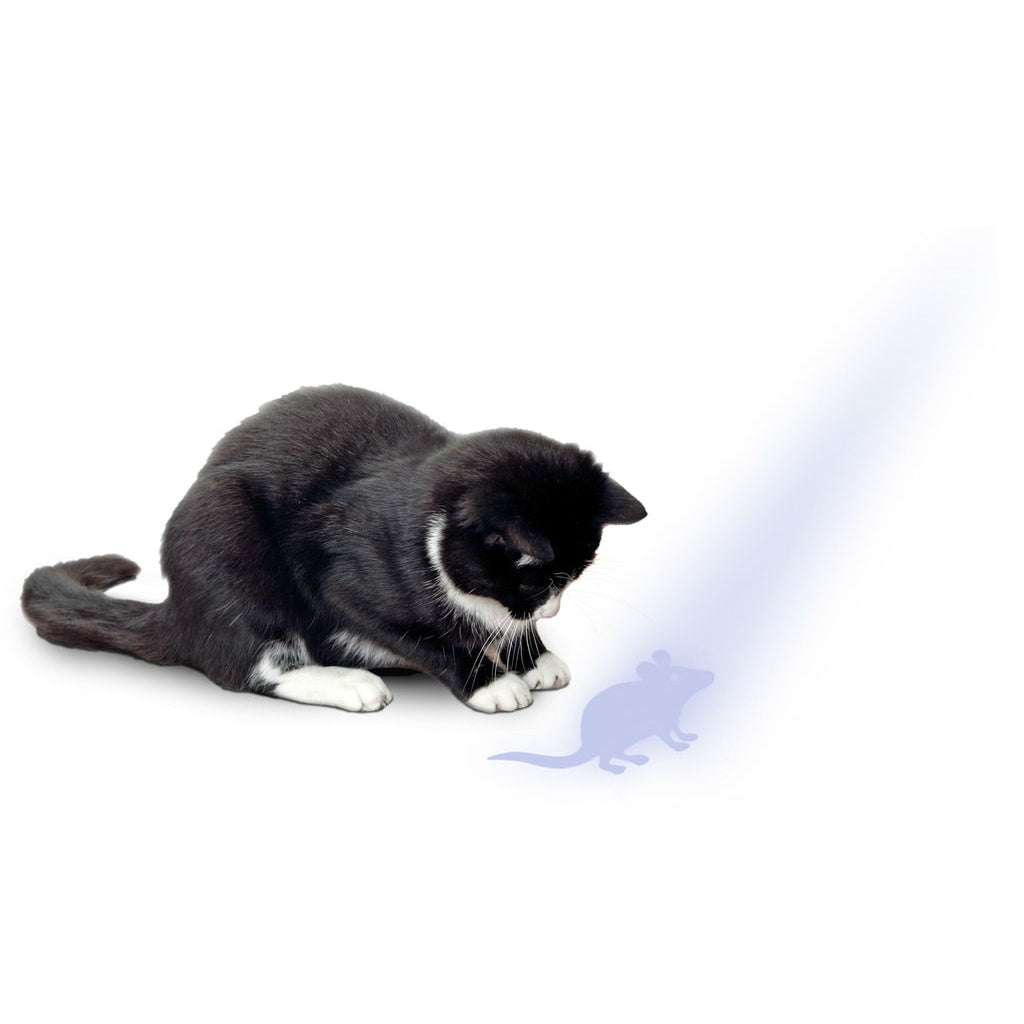 Katzen LED Pointer mit Maus Motiv