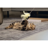 Katzenangel Orry