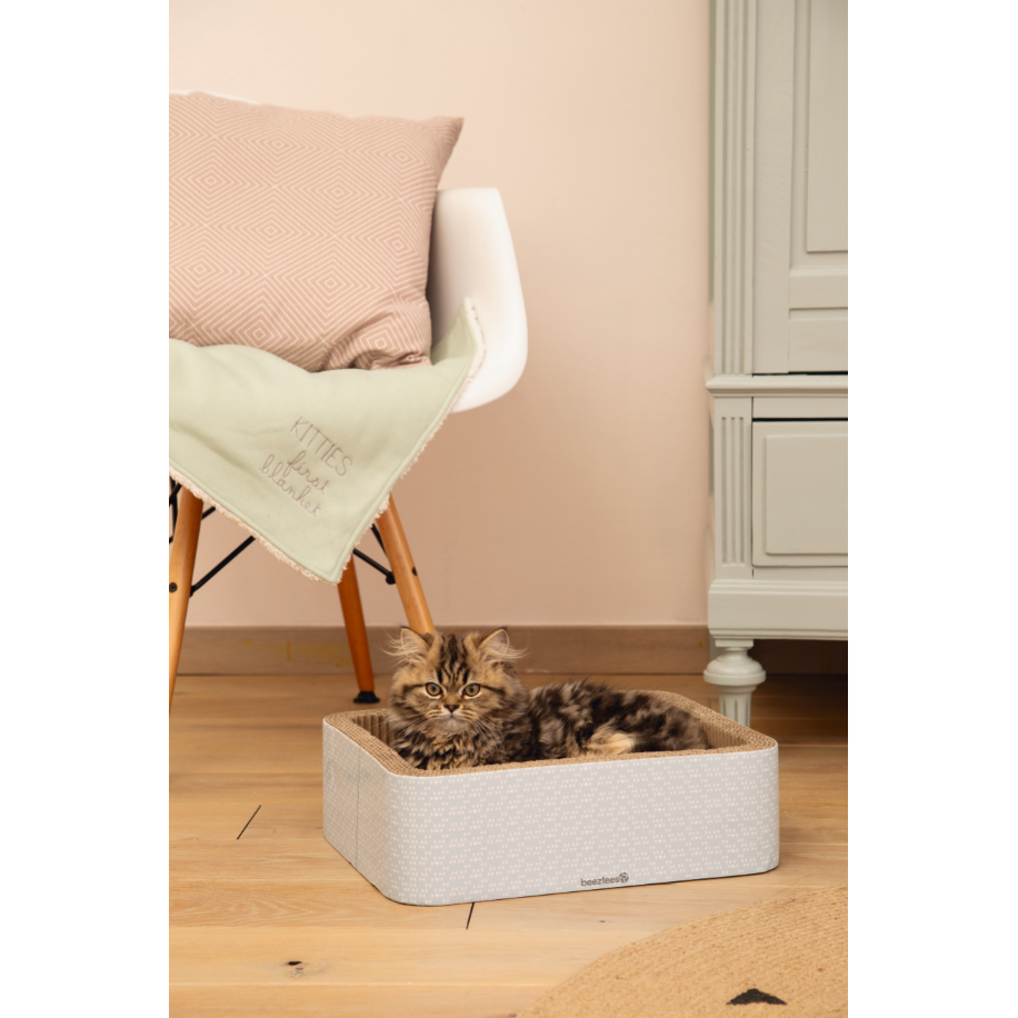 Katzenliegedecke Tilou