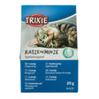 Katzenminze