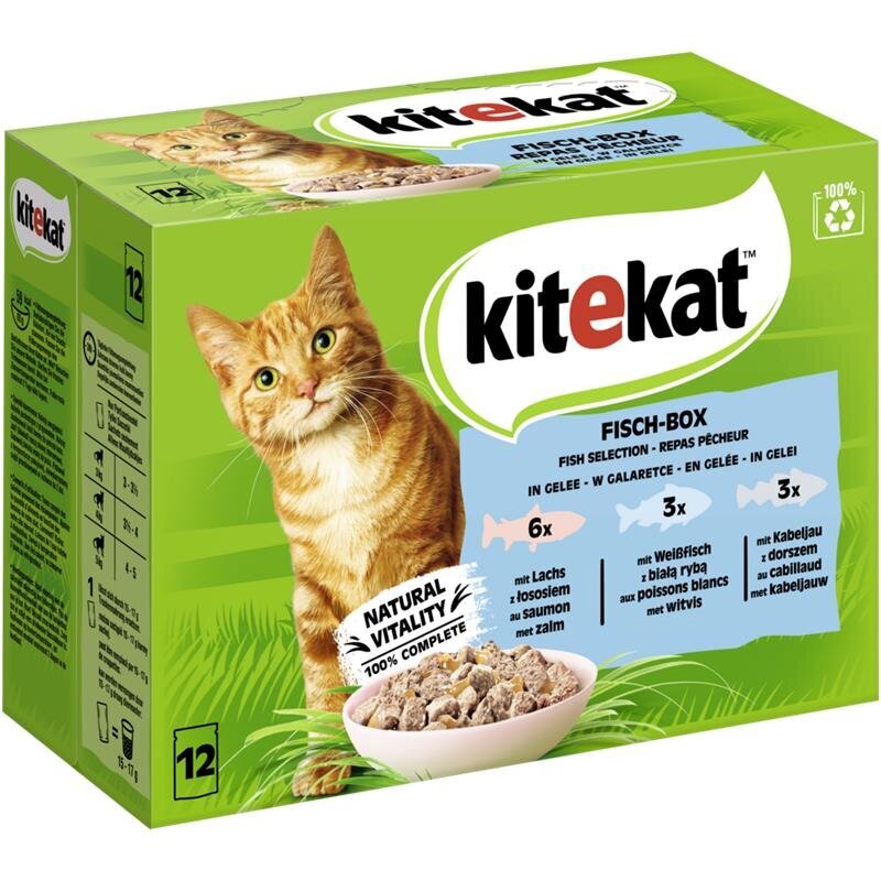 Kitekat Katzenfutter Multipack Fisch-Box in Gelee