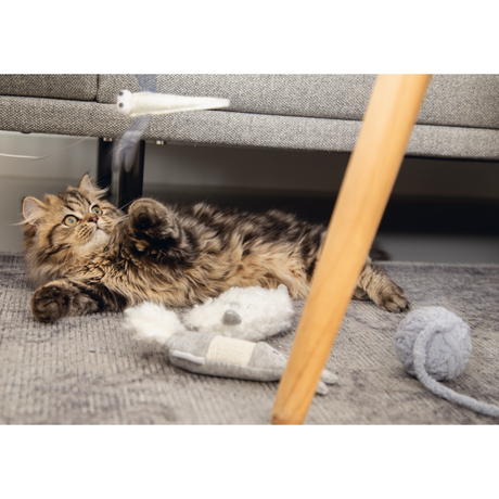 Kitten Katzenspielzeug Lama