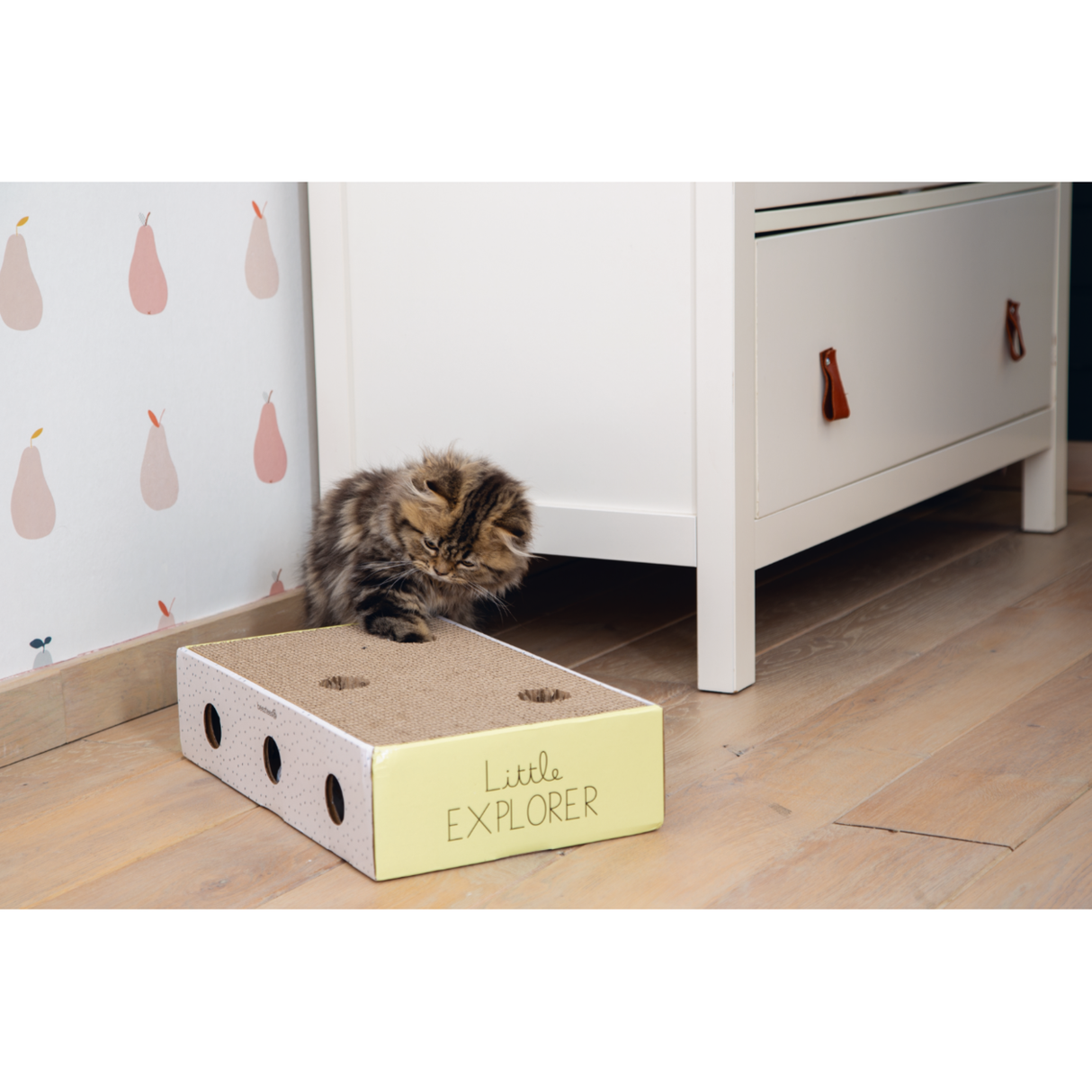 Kitten Kratzbox Riva