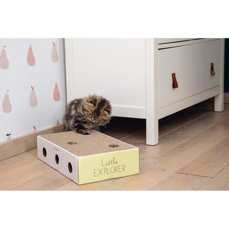 Kitten Kratzbox Riva