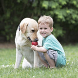 Classic rot Hundespielzeug