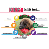 Classic rot Hundespielzeug
