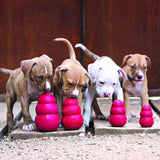 Classic rot Hundespielzeug