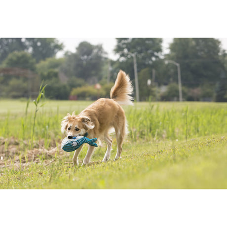 CuteSeas Hundespielzeug