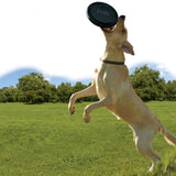 Extreme Flyer Hundefrisbee