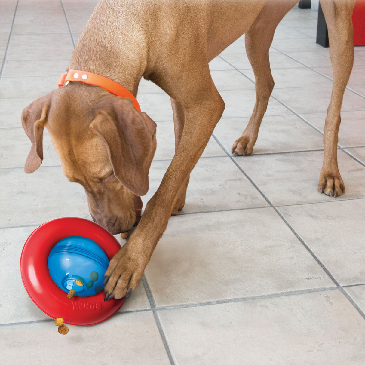 KONG Gyro Hundespielzeug Snackspielzeug