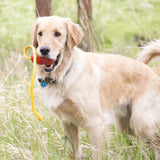 Hundespielzeug KONG Classic mit Seil
