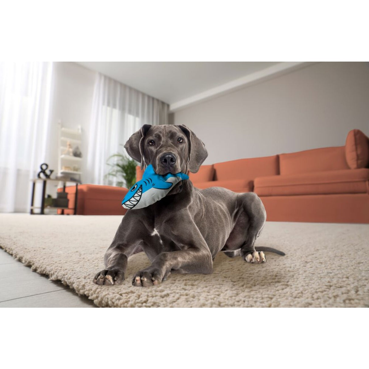 MAXX Friends Hundespielzeug