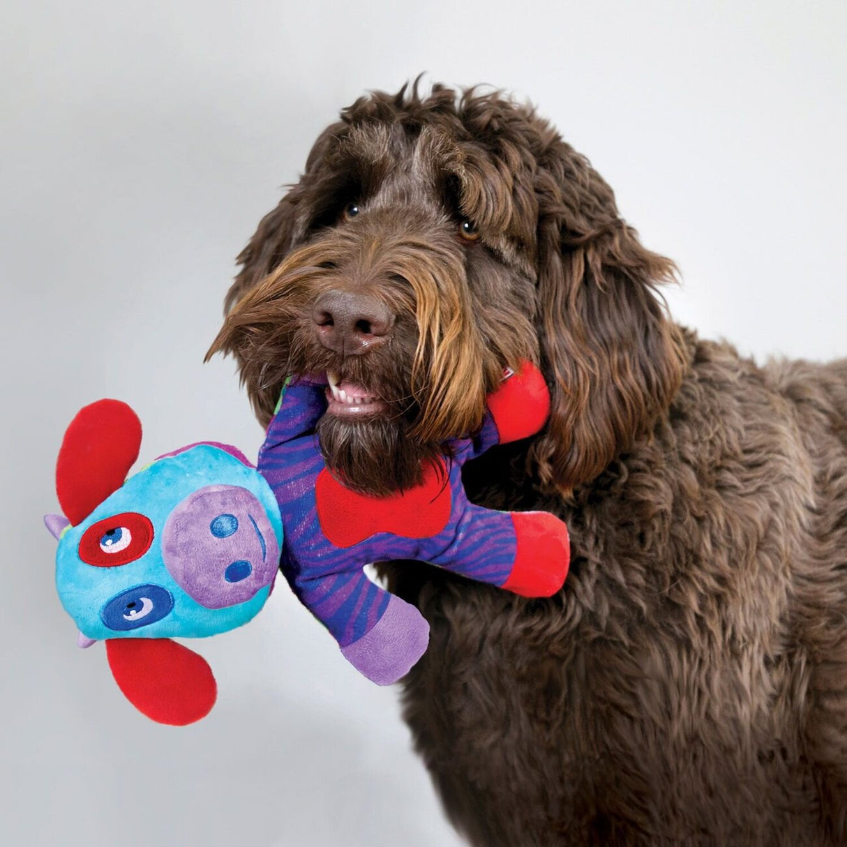 Hundespielzeug Switcheroos