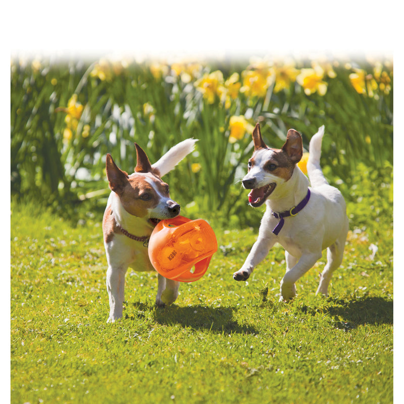 KONG Jumbler Hundespielzeug – Ball, large, 17,8 cm