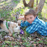 Senior Hundespielzeug
