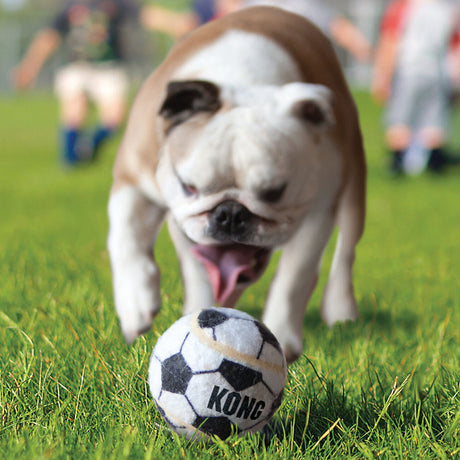 KONG Sport Balls für Hundebälle