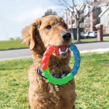 Twistz Hundespielzeug