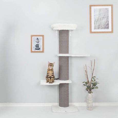 Kratzbaum Acadia mit Wandbefestigungen