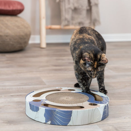 Kratztrommel mit Spielzeug für Katzen