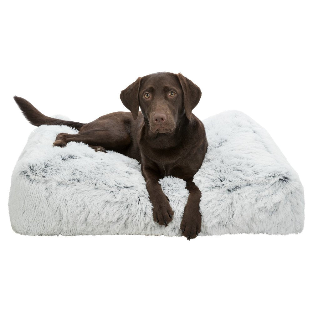 Hundekissen Harvey eckig
