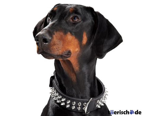 Leder Halsband Rambo